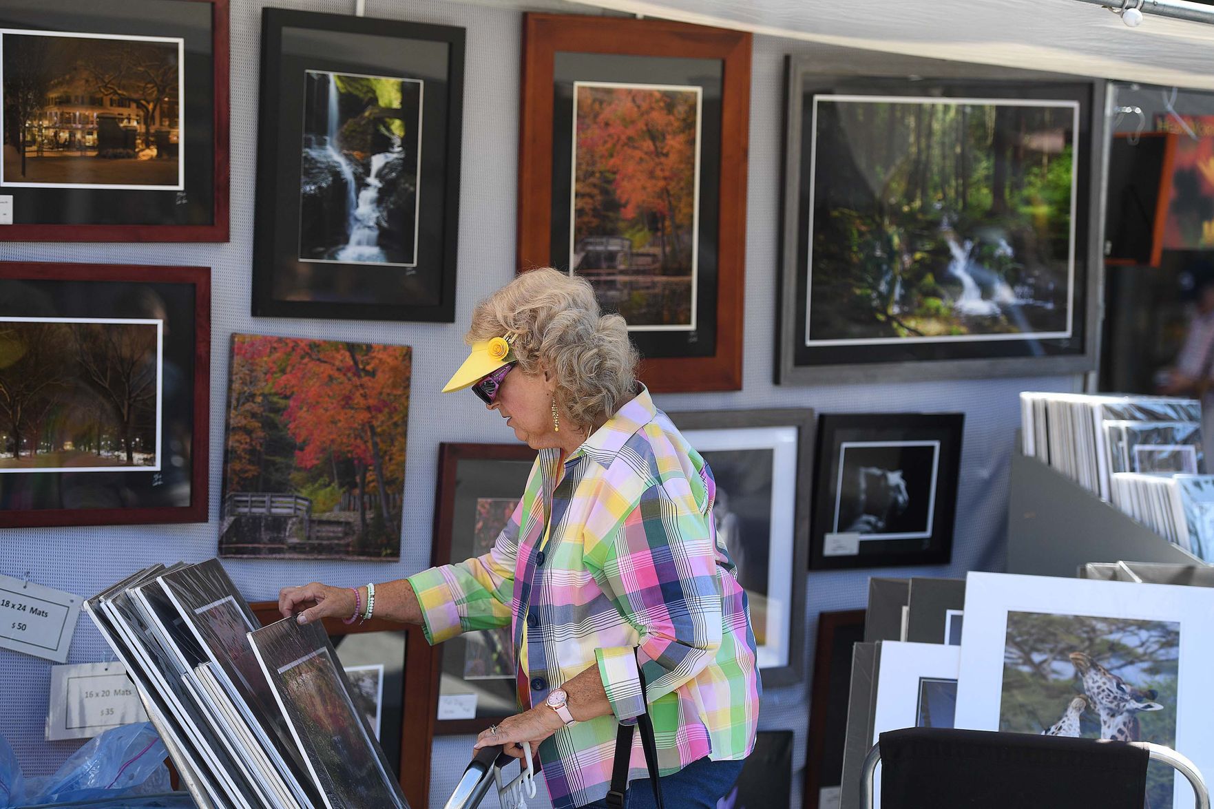 Harvest of the Arts